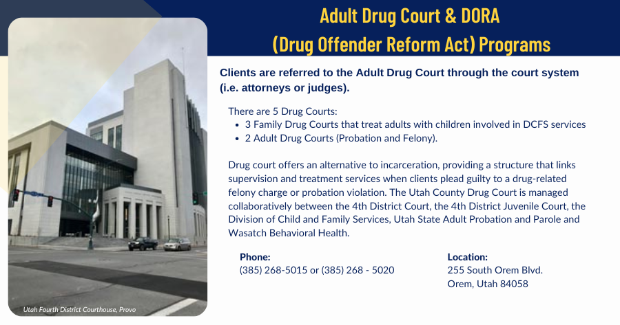 Adult Drug Court & DORA